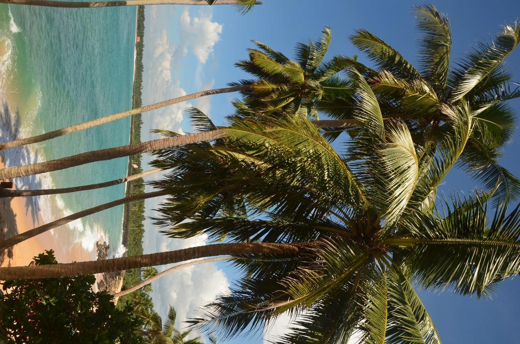 Cool Beach Hotel Hikkaduwa Buitenkant foto